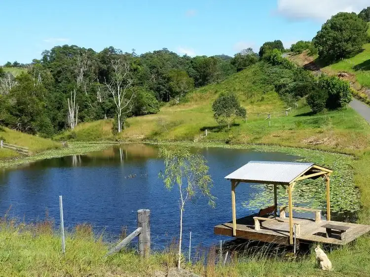 Second view of Homely rural property listing, 889 Smiths Creek Road, Stokers Siding NSW 2484