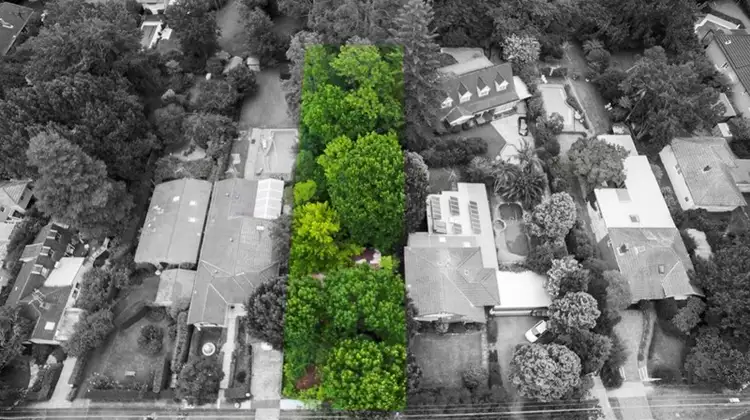 98 Bannockburn Road, Pymble NSW 2073