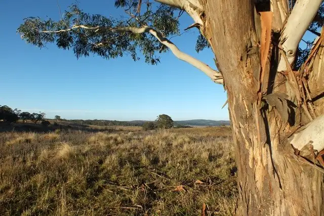 Third view of Homely rural property listing, Lot 2 Gingkin Road, Gingkin NSW 2787