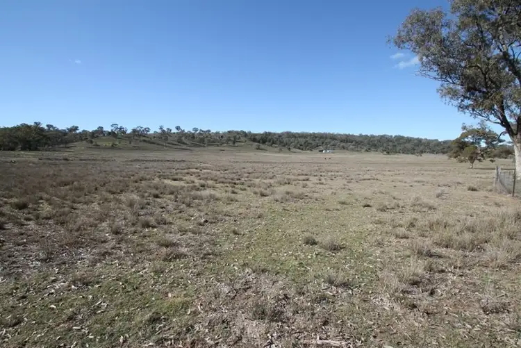 Second view of Homely rural property listing, 1820 Kamilaroi Highway, Quirindi NSW 2343