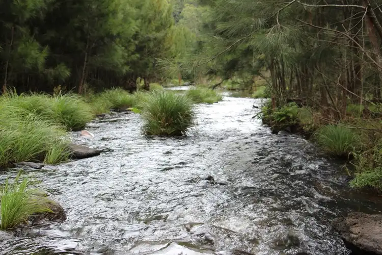 Third view of Homely rural property listing, 2007 Running Creek Road, Running Creek QLD 4287