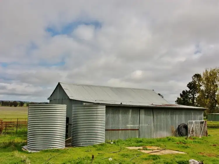 Fifth view of Homely rural property listing, 1010 Dinga Dingi Road, Stockinbingal NSW 2725