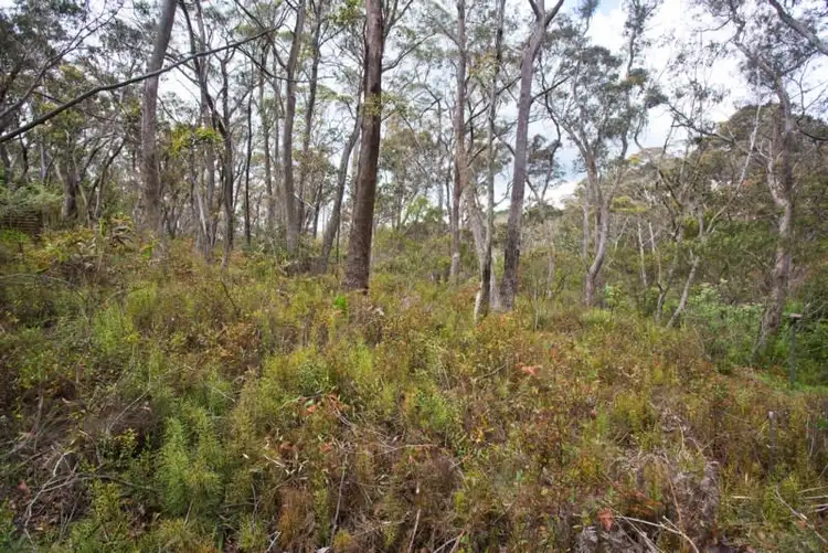 Fourth view of Homely land listing, 25 Fourth Avenue, Katoomba NSW 2780