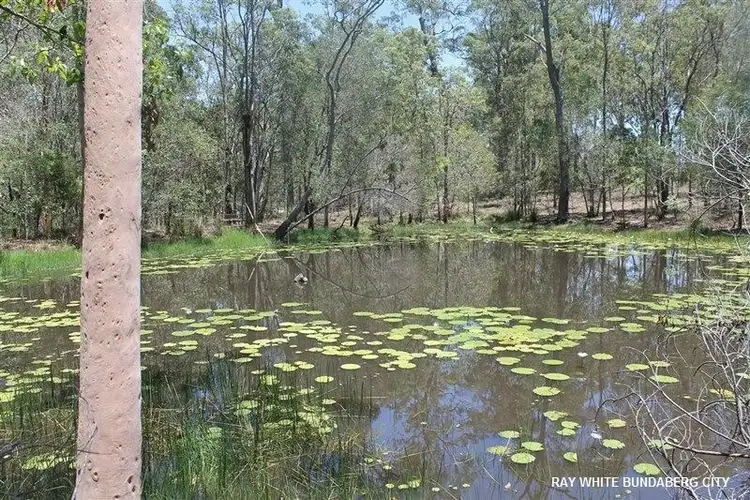 Fourth view of Homely rural property listing, 252 Baumanns Road, Avondale QLD 4670