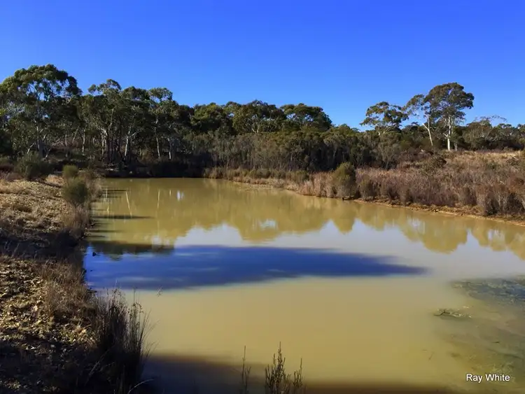 Third view of Homely rural property listing, 34 Farringdon, Braidwood NSW 2622