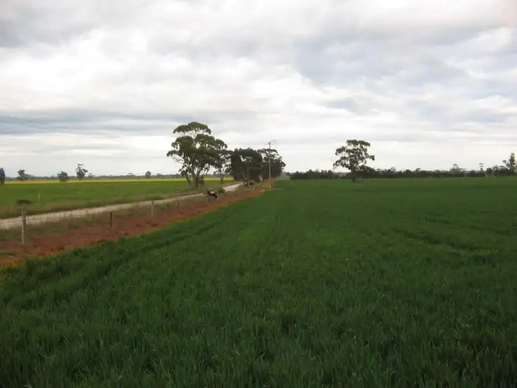 Sixth view of Homely rural property listing, Lot 275 Pitcher Lane, Bordertown SA 5268