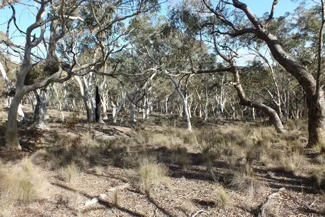 Fifth view of Homely rural property listing, 1002 Sewells Creek Road, Oberon NSW 2787
