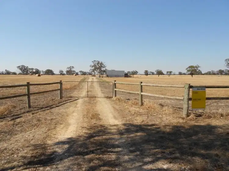 Main view of Homely rural property listing, 12 Col Watson Road, Mundulla SA 5270