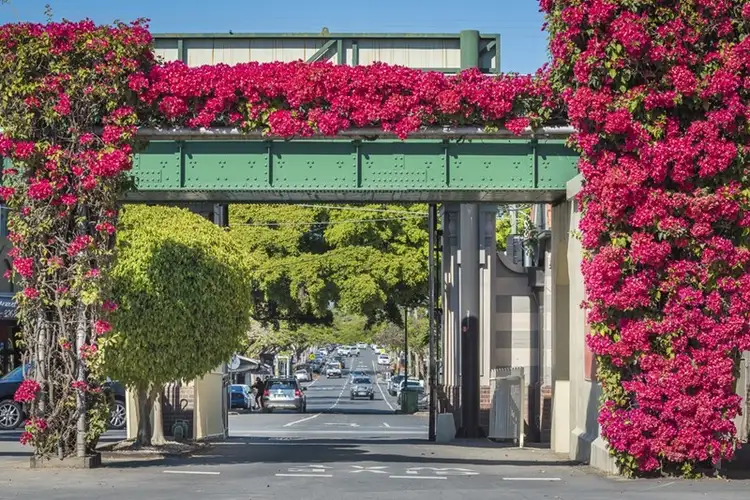 3/145 Windermere Road, Hamilton QLD 4007