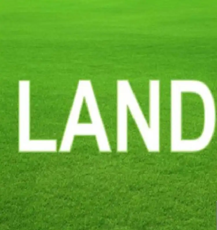 55 McCann Drive, Albanvale VIC 3021