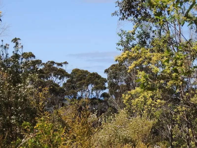 Main view of Homely land listing, 120 Myers Road, Shadforth WA 6333