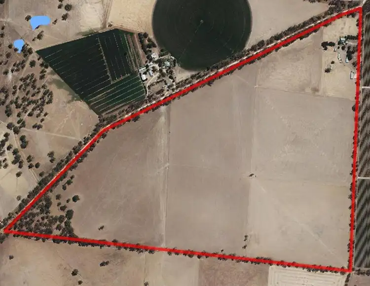 3 Goodridge Road, Mundulla SA 5270