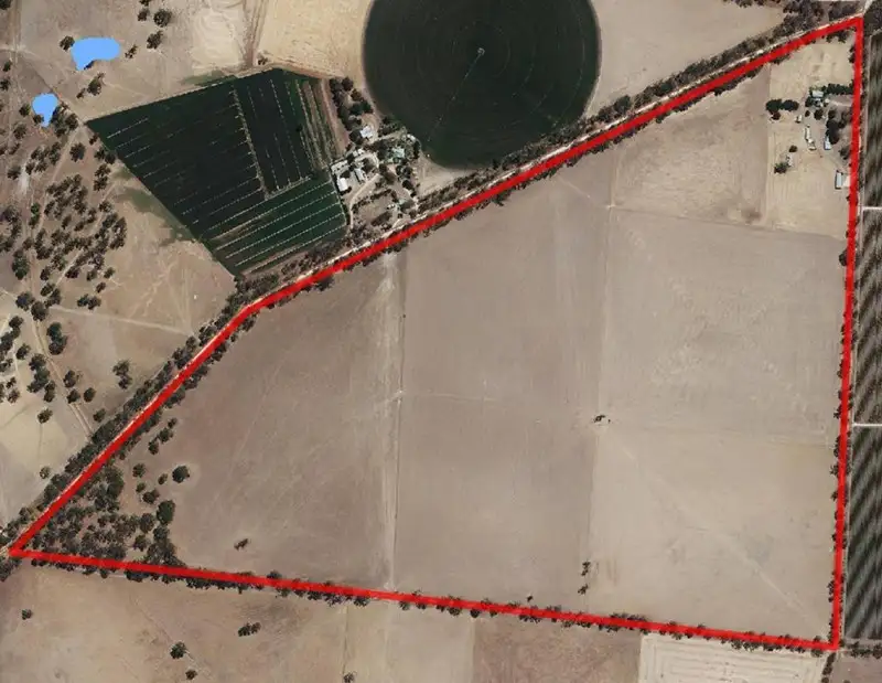 Main view of Homely rural property listing, 3 Goodridge Road, Mundulla SA 5270