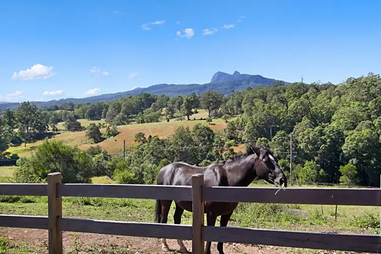 977 Brays Creek Road, Tyalgum NSW 2484