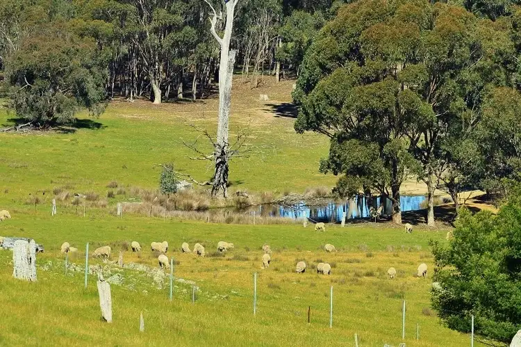 Sixth view of Homely land listing, Lot 4 Red Gate Lane, Heathcote VIC 3523