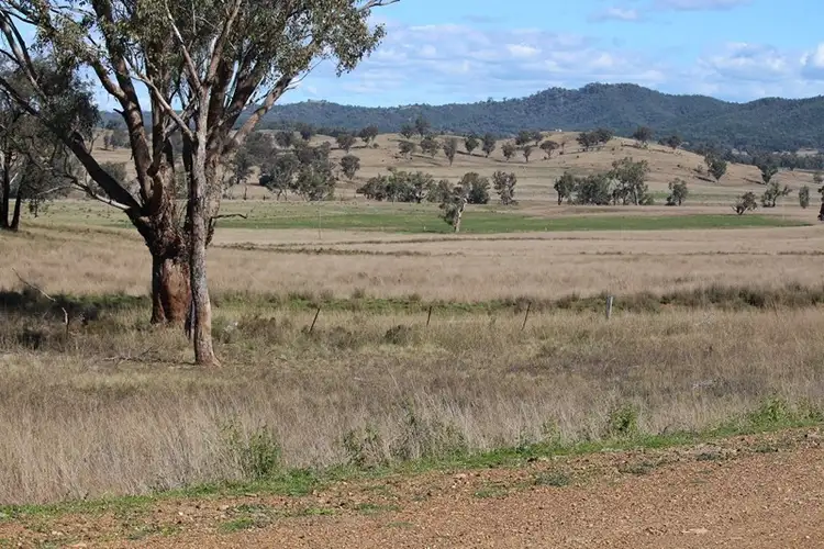 Seventh view of Homely rural property listing, 244 Sheep Station Creek Road, Bingara NSW 2404