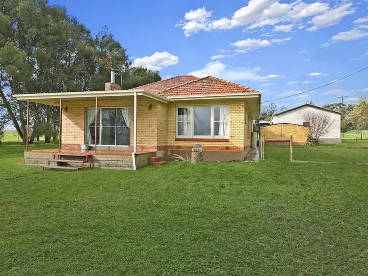 Third view of Homely house listing, 443 Tarlee - Finnis Point Road, Tarlee SA 5411
