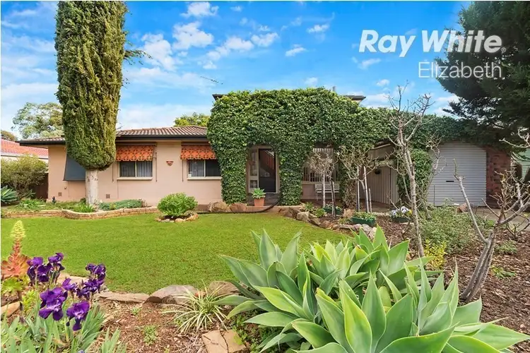 Second view of Homely house listing, 13 Barrington Road, Elizabeth Downs SA 5113