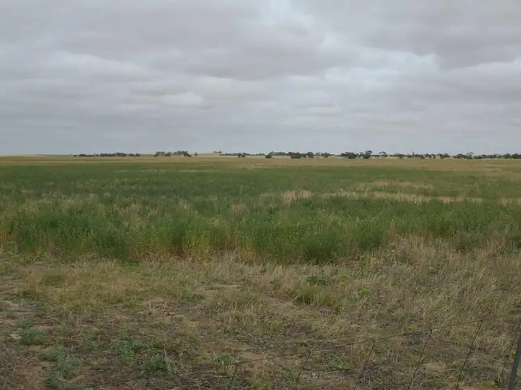Fifth view of Homely rural property listing, Lot 14 Oaks Road, Parilla SA 5303