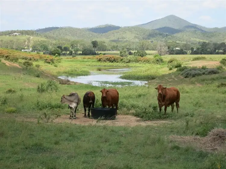 Third view of Homely rural property listing, 535 Fire Creek Road, Raglan QLD 4697