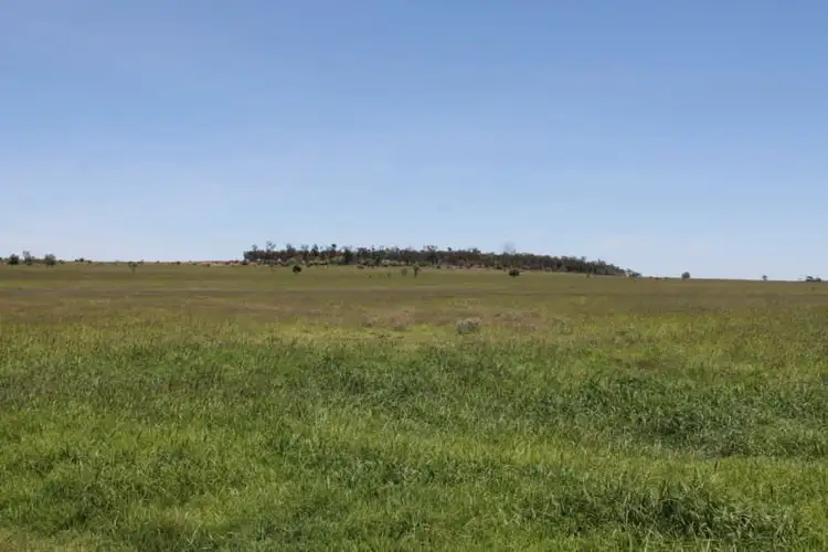 Seventh view of Homely rural property listing, 4895 TEELBA Road, Glenmorgan QLD 4423