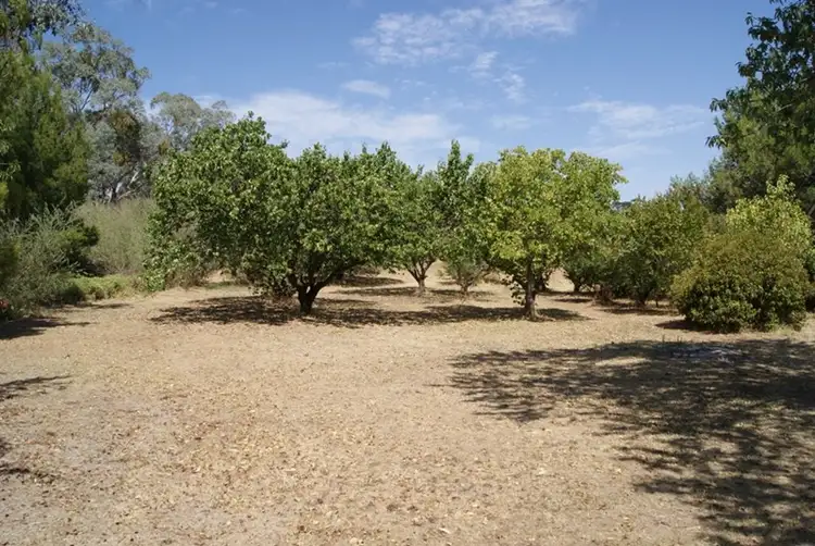 Fifth view of Homely house listing, 15 McCaffery Lane, Young NSW 2594