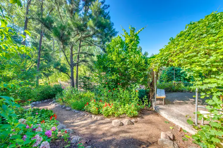 Seventh view of Homely house listing, 1192 Wallaroo Road, Wallaroo NSW 2618