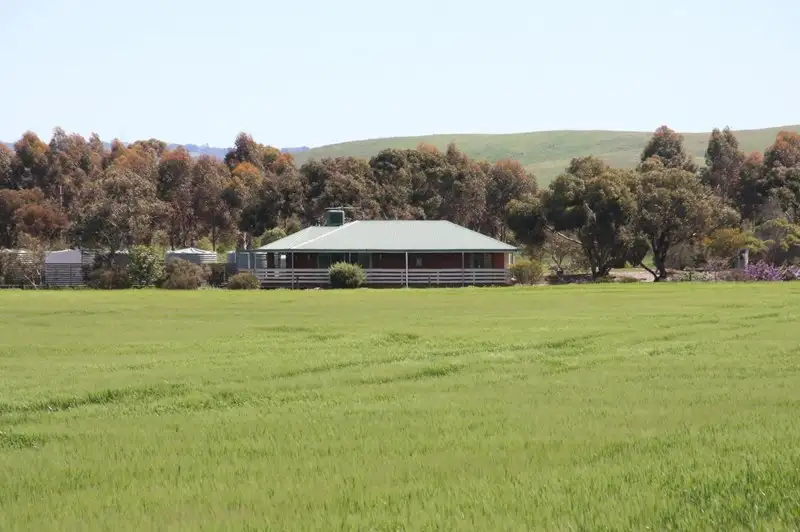 Main view of Homely rural property listing, 116 Bremer Range Road, Callington SA 5254