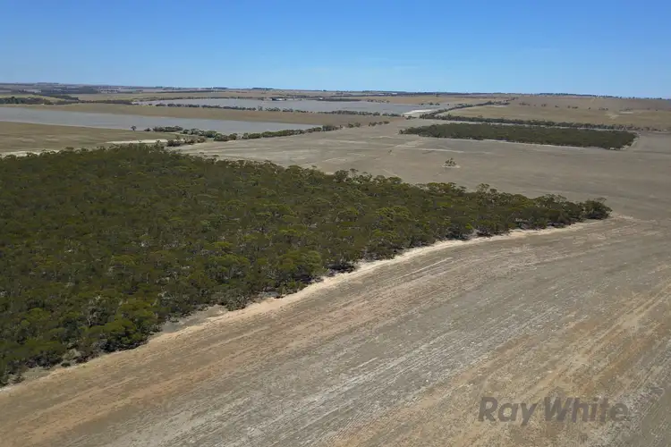 Seventh view of Homely rural property listing, Lot 2 Pipeline Road, Arthurton SA 5572