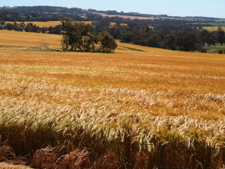 Seventh view of Homely rural property listing, Hyfield, Crossburn, Yaralla, Kojonup WA 6395