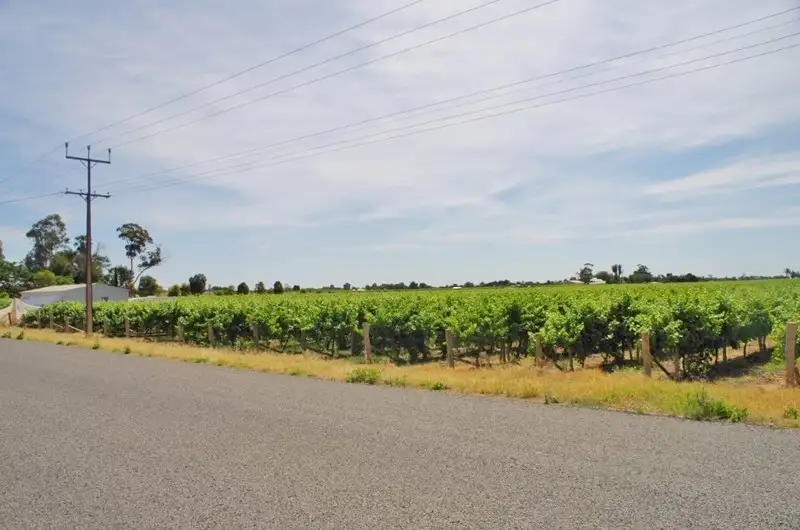 Main view of Homely rural property listing, 452 Chowilla Street, Renmark SA 5341