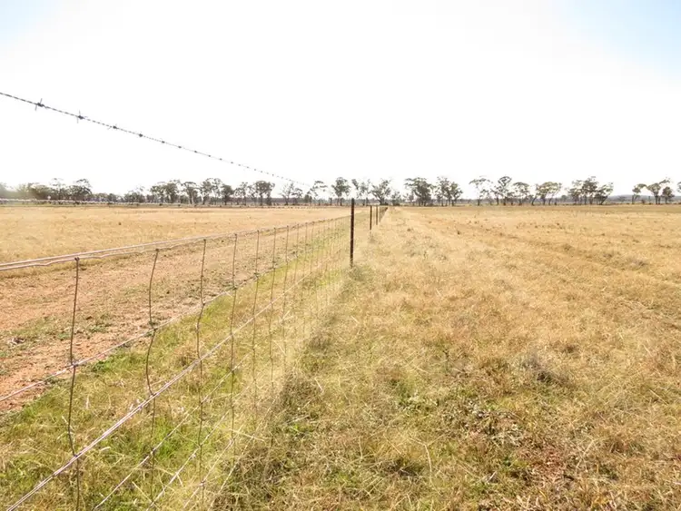 Second view of Homely rural property listing, 581 Slingers Lane, Temora NSW 2666