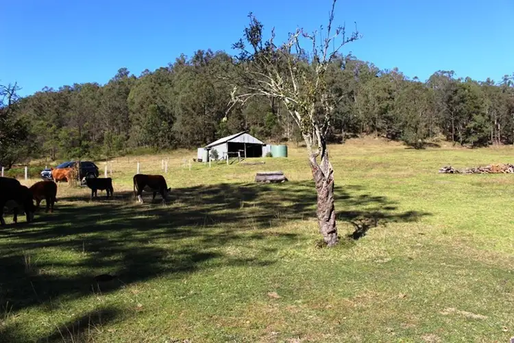 Sixth view of Homely rural property listing, 295 Pademelon Road, Laguna NSW 2325