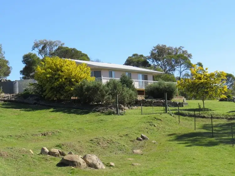 Main view of Homely rural property listing, 1179 Pine Mount Road, Cowra NSW 2794