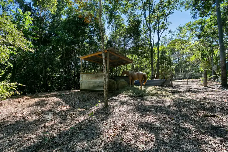 Seventh view of Homely house listing, 335 Ganyan Drive, Speewah QLD 4881