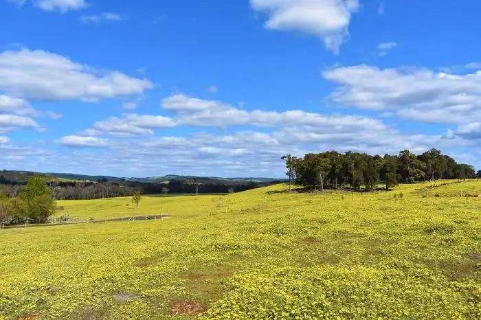 Fifth view of Homely rural property listing, 7 Broadlea Rise, Nannup WA 6275