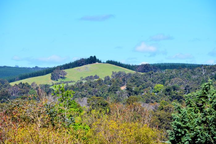 Sixth view of Homely rural property listing, 7 Broadlea Rise, Nannup WA 6275