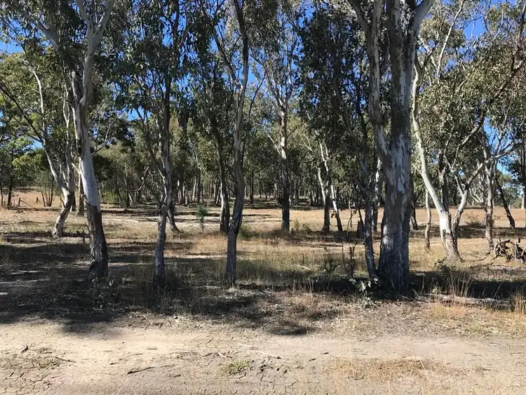 Second view of Homely rural property listing, 3261 Gragin Road, Warialda NSW 2402