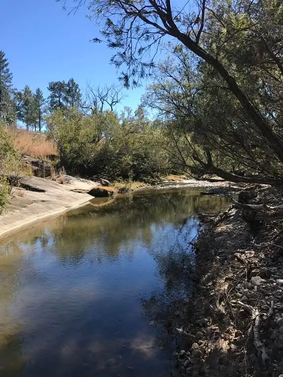 Fifth view of Homely rural property listing, 3261 Gragin Road, Warialda NSW 2402