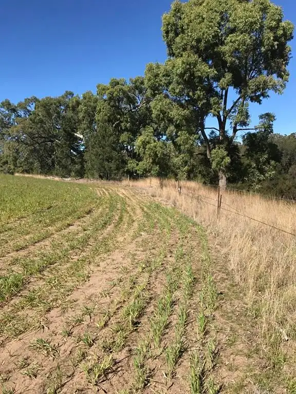 Seventh view of Homely rural property listing, 3261 Gragin Road, Warialda NSW 2402