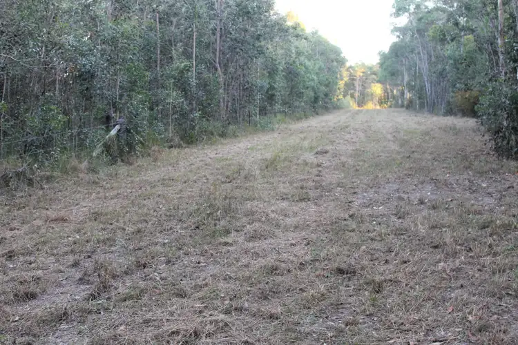 Second view of Homely land listing, 320 Newlands Road, Wamuran QLD 4512