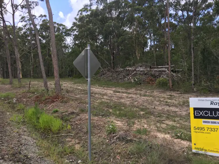 Fourth view of Homely land listing, 320 Newlands Road, Wamuran QLD 4512