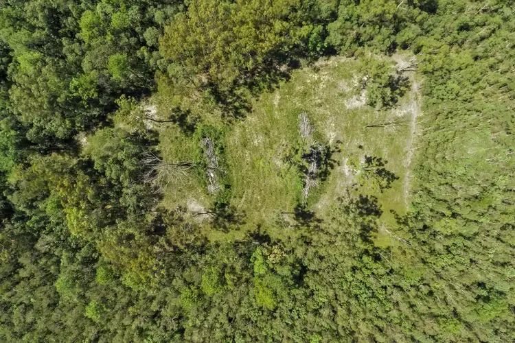Fifth view of Homely land listing, 320 Newlands Road, Wamuran QLD 4512