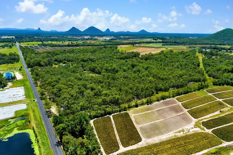 Seventh view of Homely land listing, 320 Newlands Road, Wamuran QLD 4512