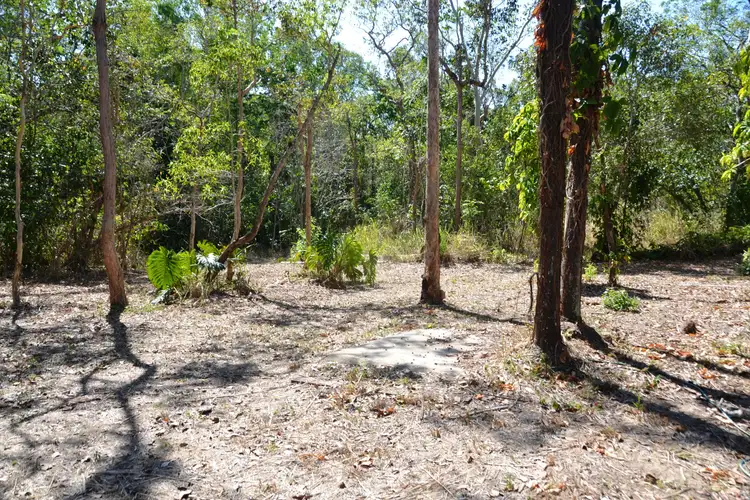 Fifth view of Homely rural property listing, 1609 Yakapari Seaforth Road, Mount Jukes QLD 4740