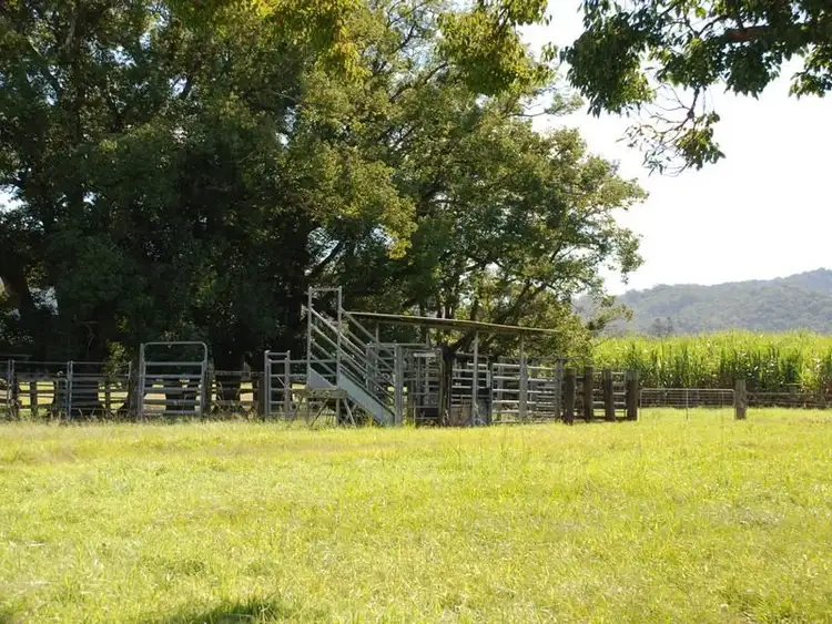 Sixth view of Homely rural property listing, Address available on request