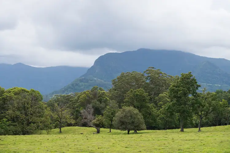 Fourth view of Homely rural property listing, 140 Settlement Road, Numinbah NSW 2484