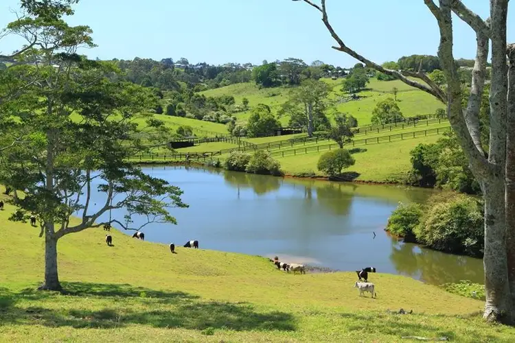 Sixth view of Homely rural property listing, 236 Mountain View Road, Maleny QLD 4552
