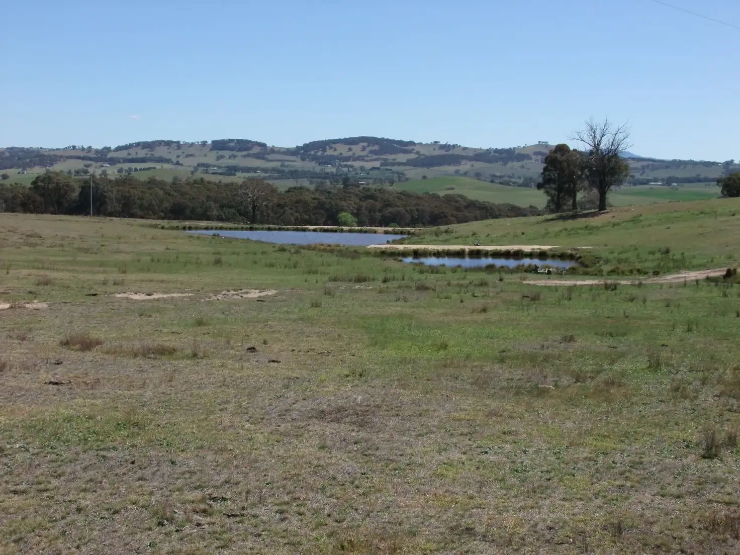 Main view of Homely rural property listing, Address available on request