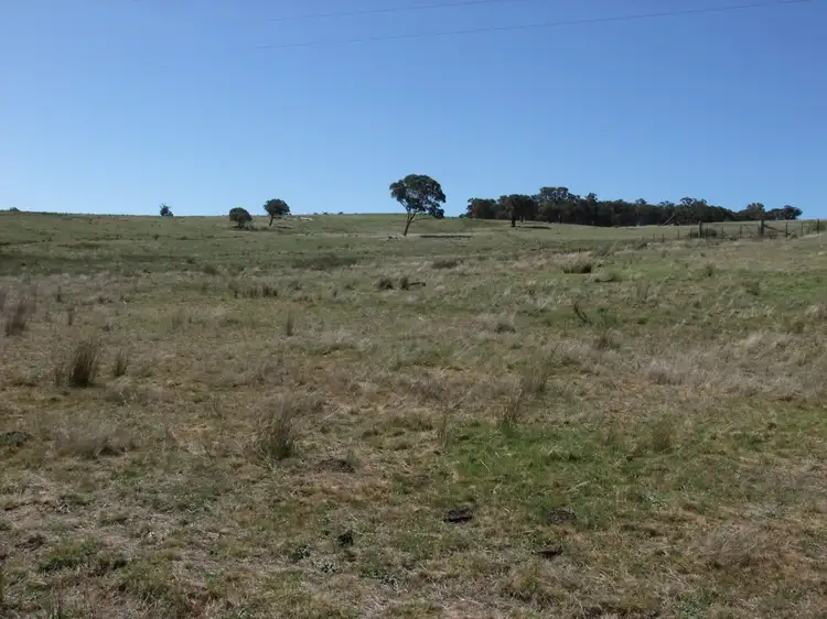 Seventh view of Homely rural property listing, Address available on request